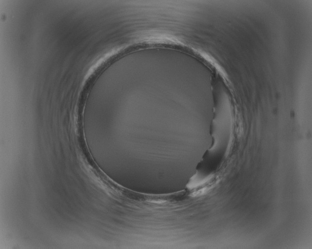 X0000081390391200702020300