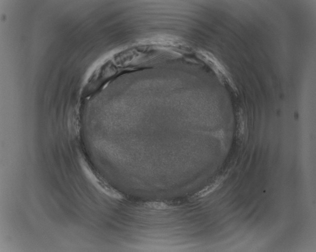 X0000081390392200702020300