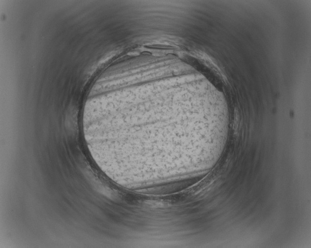 X0000081390394200702020300