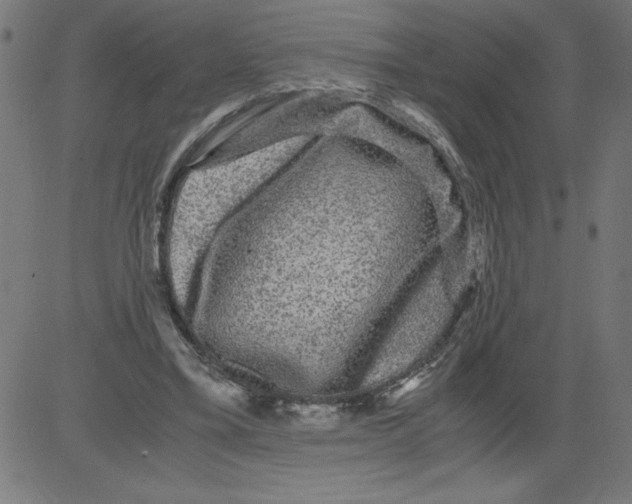 X0000081390395200702020300