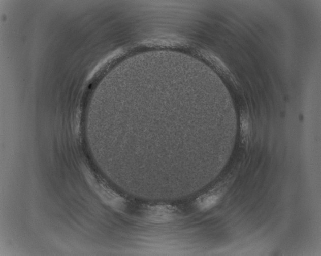 X0000081390396200702020300