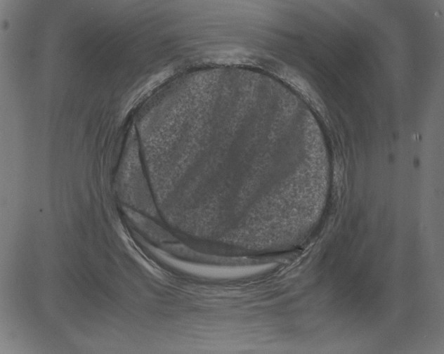 X0000081390397200702020300