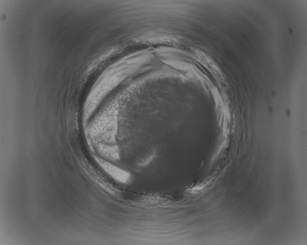 X0000081390399200702020300