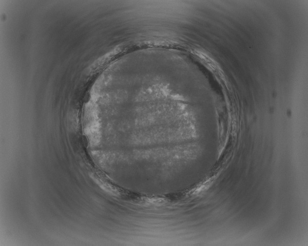 X0000081390401200702020300