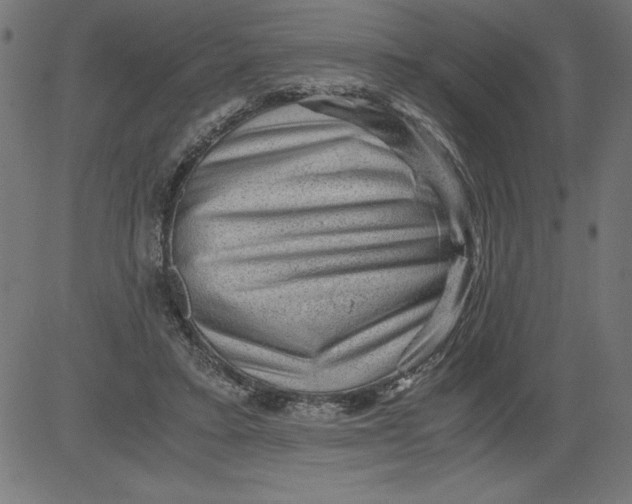 X0000081390403200702020300