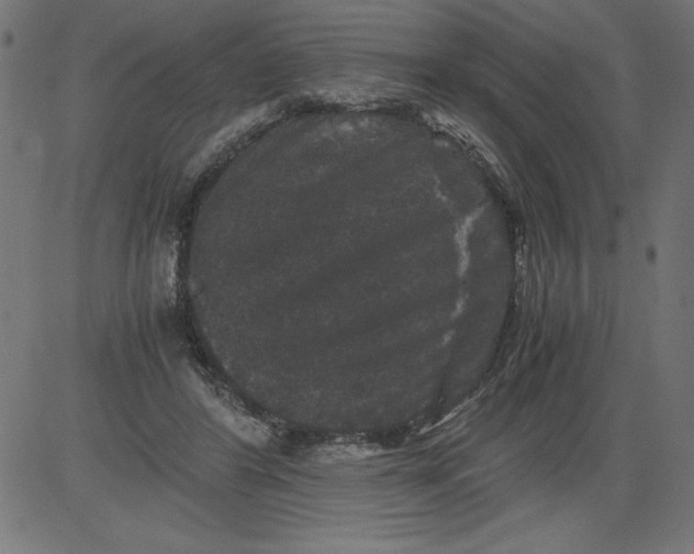 X0000081390404200702020300