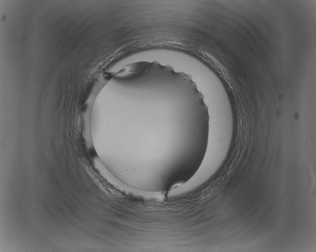 X0000081390405200702020300