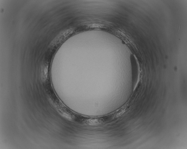 X0000081390406200702020300