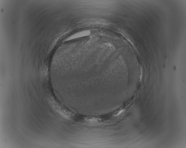 X0000081390407200702020300