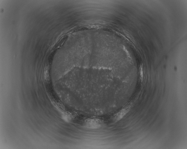 X0000081390408200702020300