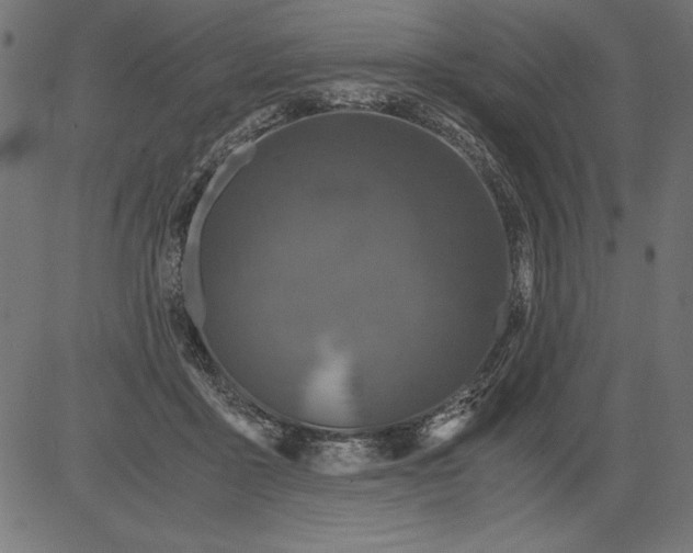 X0000081390411200702020300