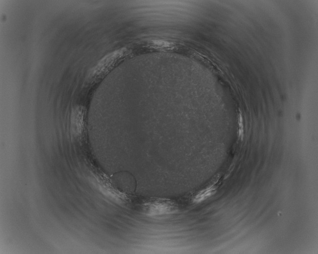 X0000081390412200702020300