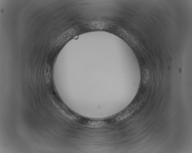 X0000081390414200702020300