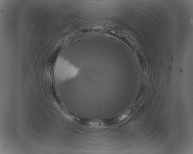 X0000081390415200702020300