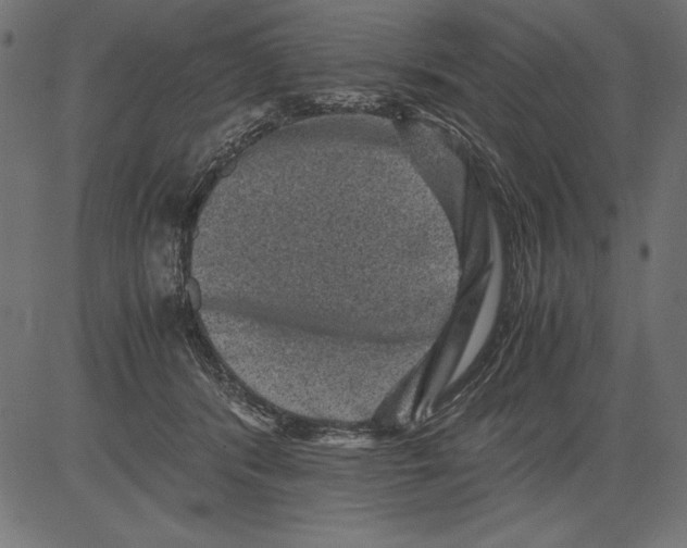 X0000081390416200702020300