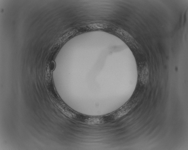 X0000081390418200702020300