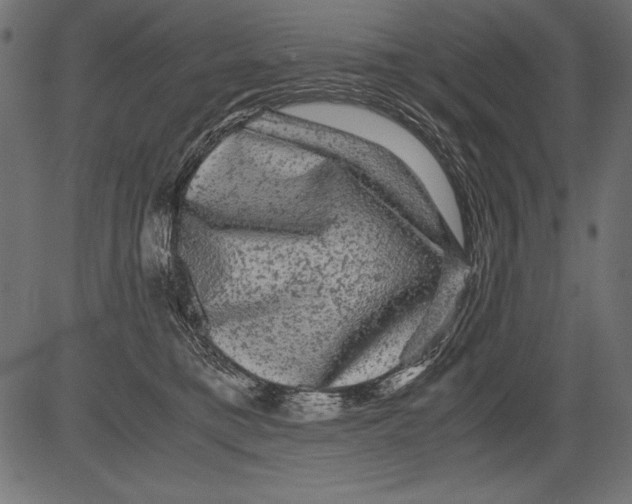 X0000081390421200702020300