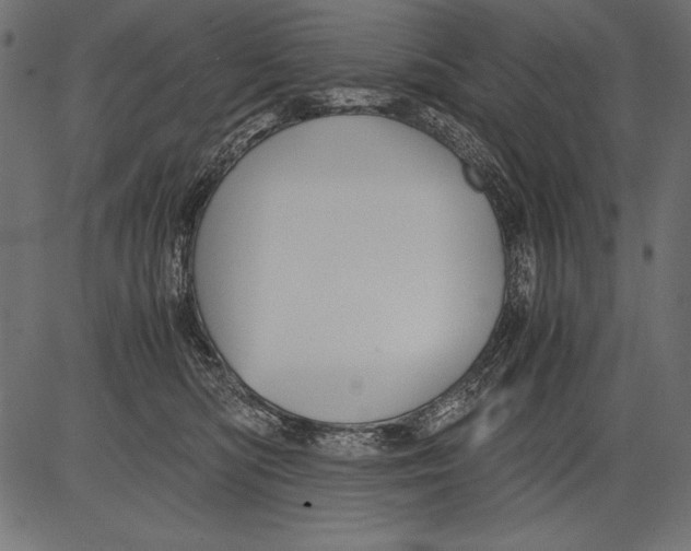 X0000081390422200702020300