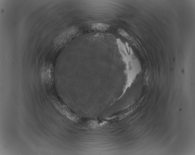 X0000081390424200702020300