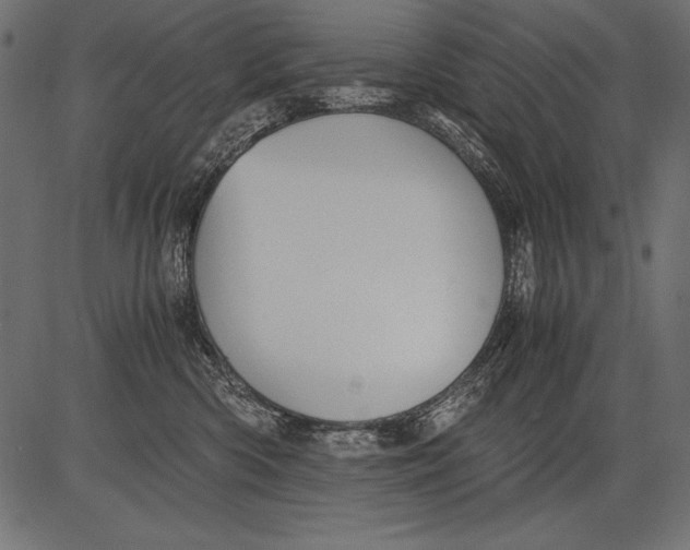 X0000081390426200702020300