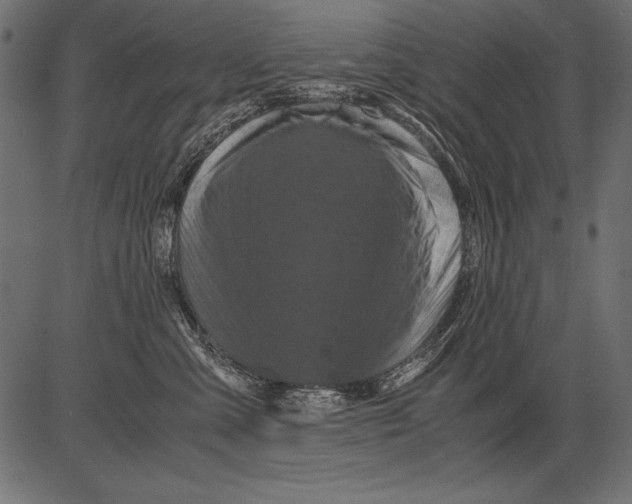 X0000081390427200702020300