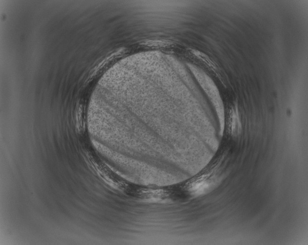 X0000081390428200702020300