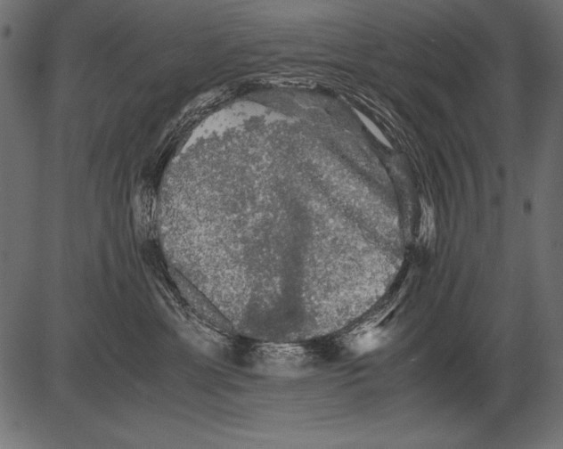 X0000081390429200702020300