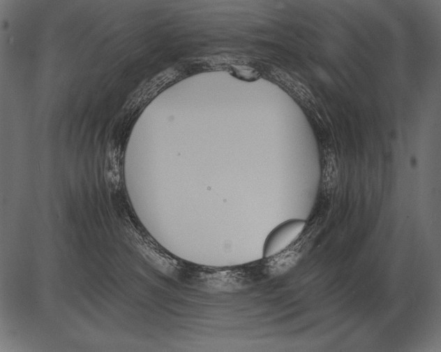 X0000081390430200702020300