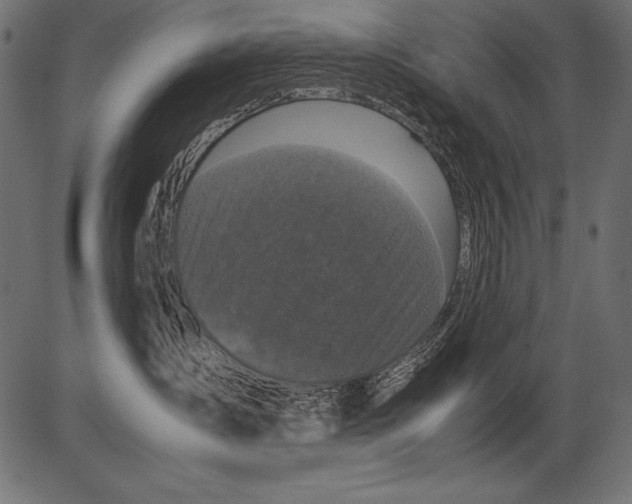 X0000081390431200702020300