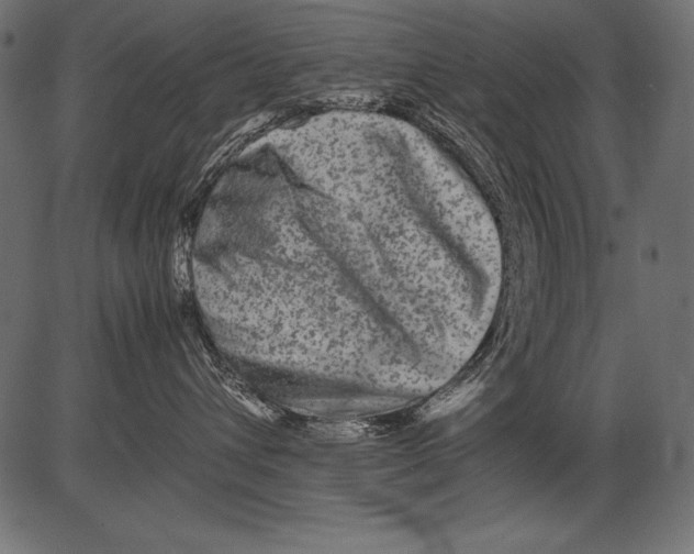 X0000081390432200702020300