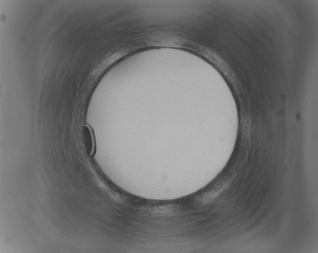 X0000081390433200702020259