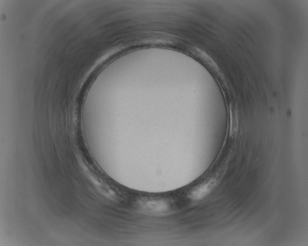 X0000081390435200702020259