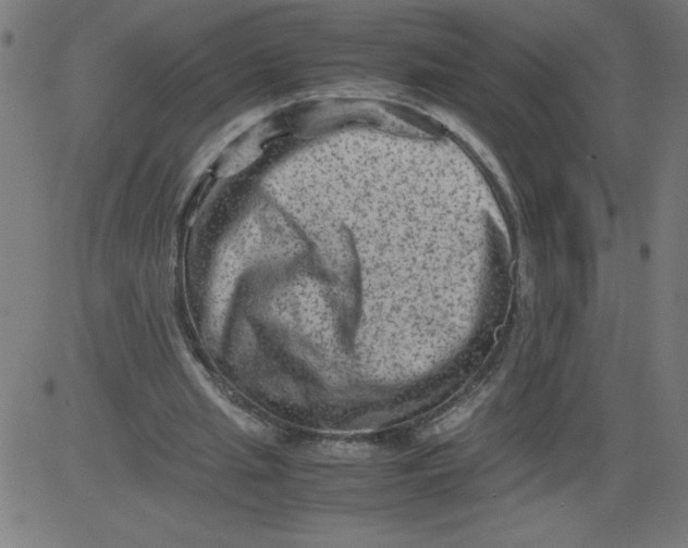 X0000081390437200702020259