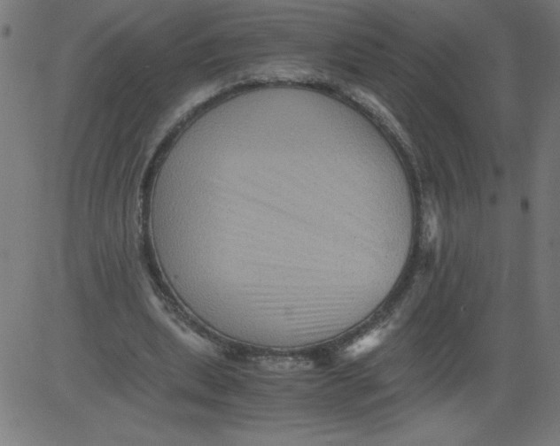 X0000081390439200702020259