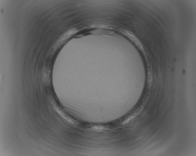 X0000081390441200702020259