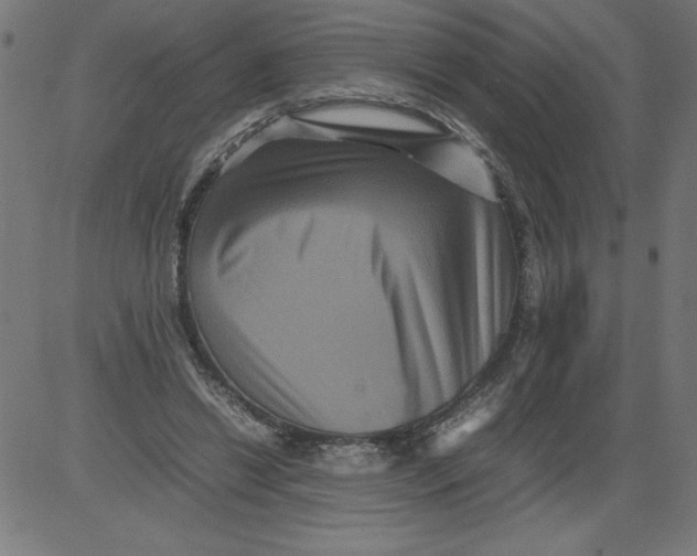 X0000081390446200702020259