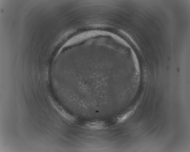 X0000081390447200702020259