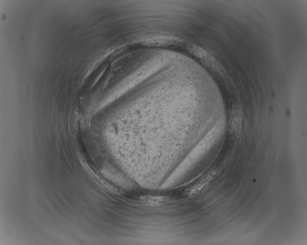 X0000081390448200702020259