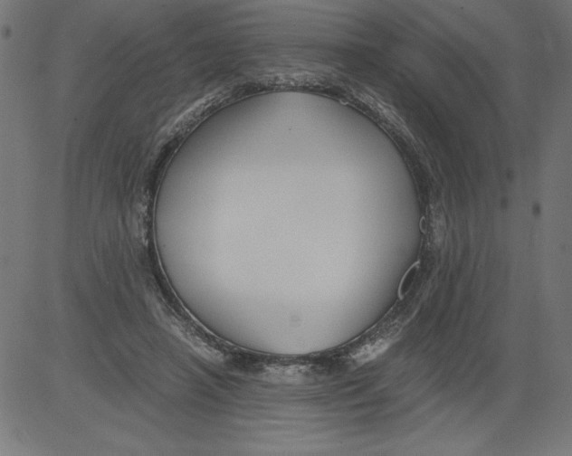 X0000081390450200702020259