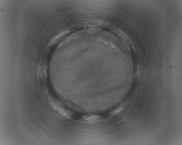 X0000081390452200702020259