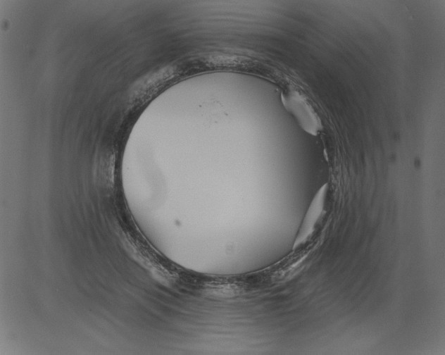 X0000081390454200702020259