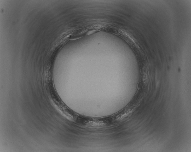 X0000081390455200702020259