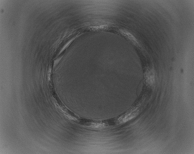 X0000081390458200702020259