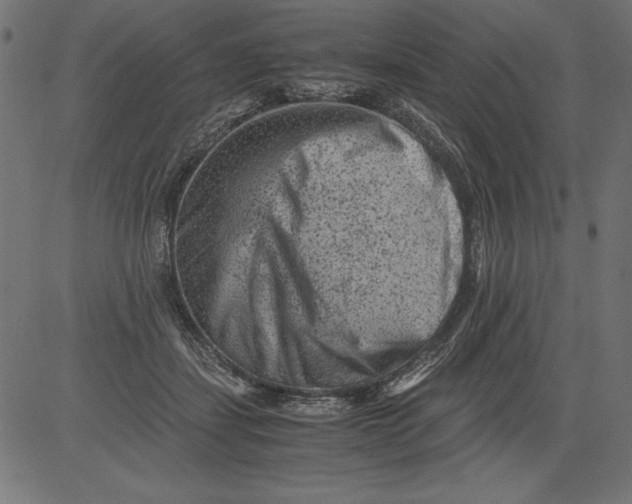 X0000081390459200702020259