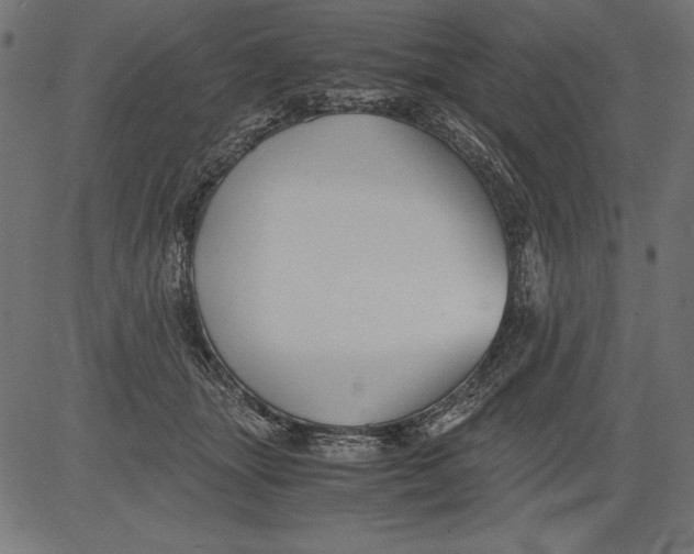 X0000081390463200702020259