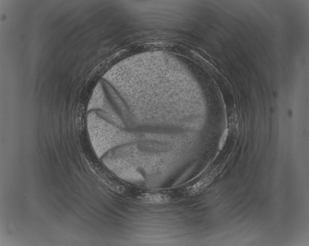 X0000081390464200702020300