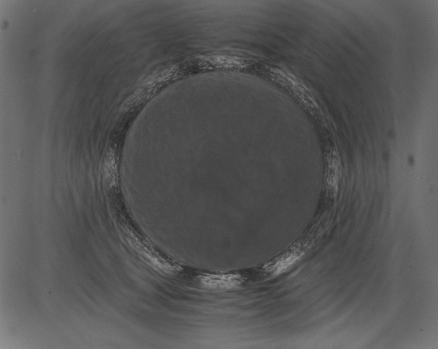 X0000081390465200702020300