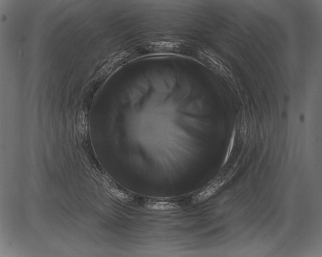 X0000081390467200702020300