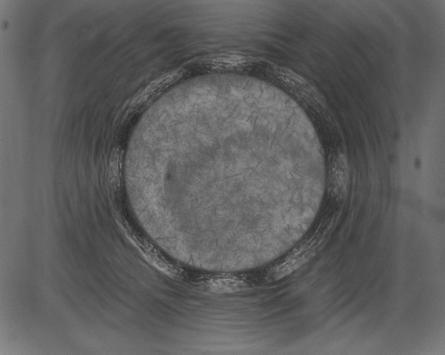 X0000081390468200702020300