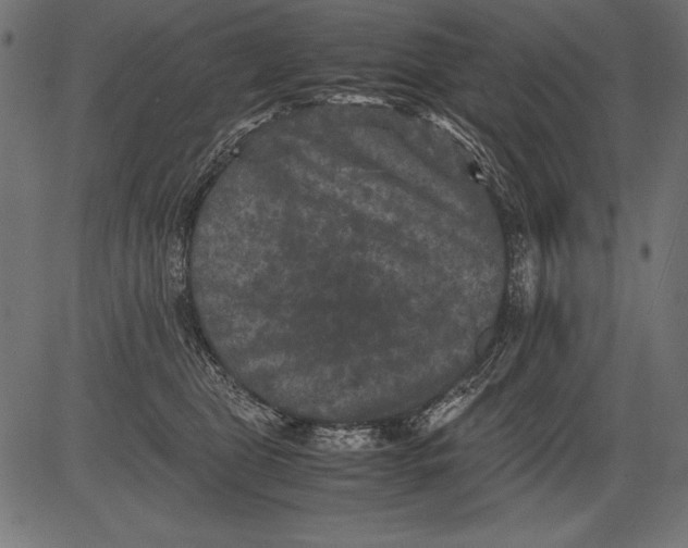 X0000081390469200702020300